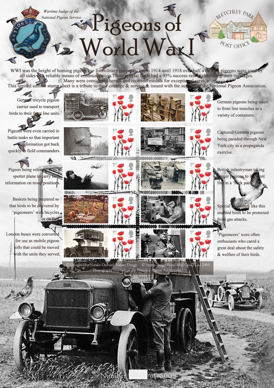 Pidgeon at War - BPPO