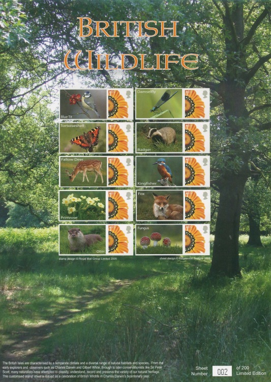British Wildlife