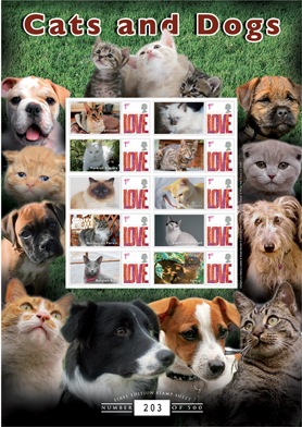 Cats and Dogs - Benham