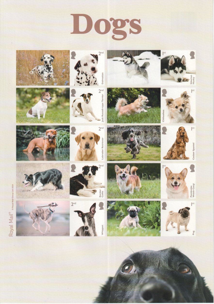 Dogs Collector/Generic Sheet